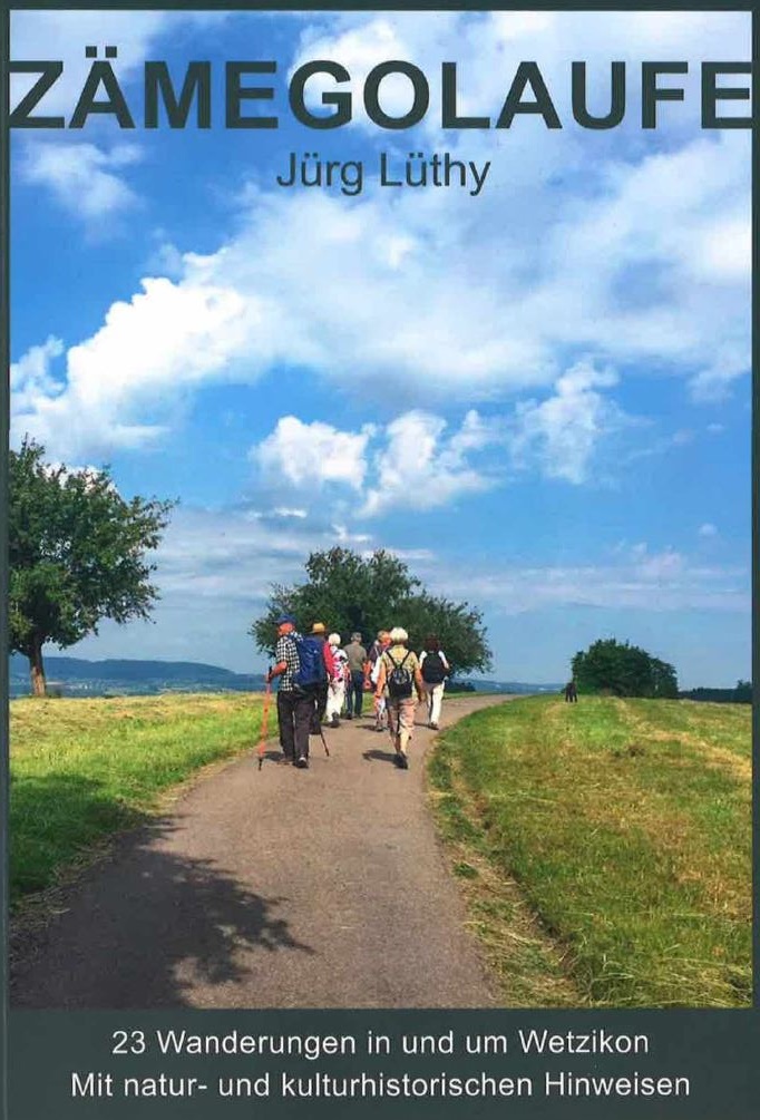 Zämä go laufä