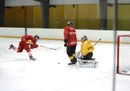 Nachwuchs Training